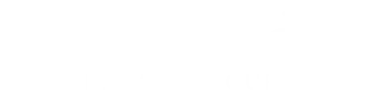 Logo of Finland Private Tours featuring stylized text for promoting personalized travel experiences in Finland.