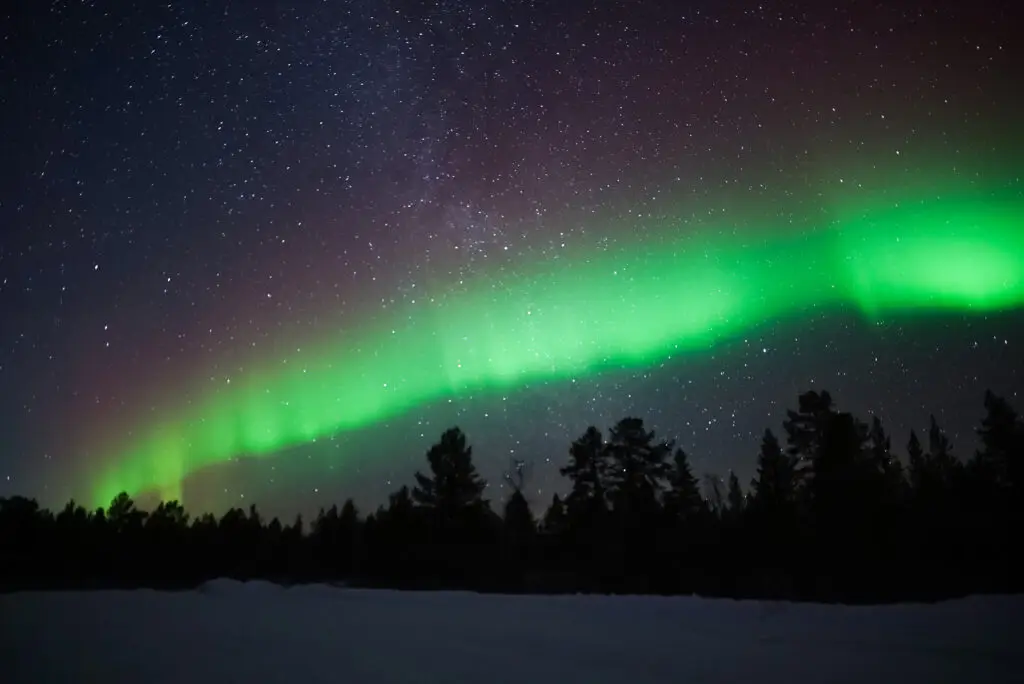 Vivid aurora borealis over snowy Lapland forest under starlit sky, a prime Northern Lights viewing destination in Scandinavia.