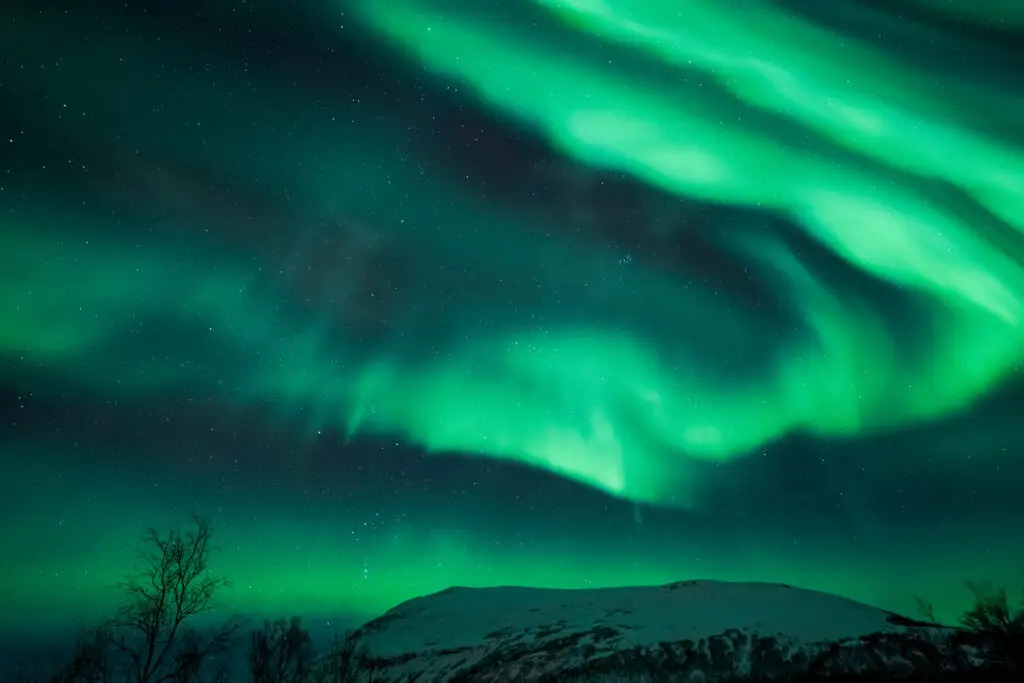 Vibrant green Northern Lights (Aurora Borealis) dancing over snowy landscape in Sweden, ideal for Scandinavia Private Tours.