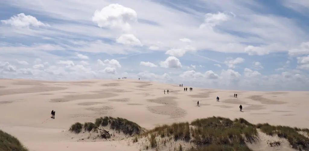 Panoramic view of tourists exploring the vast sandy landscape of Rabjerg Mile, the largest wandering dune in Denmark, under a cloudy sky.