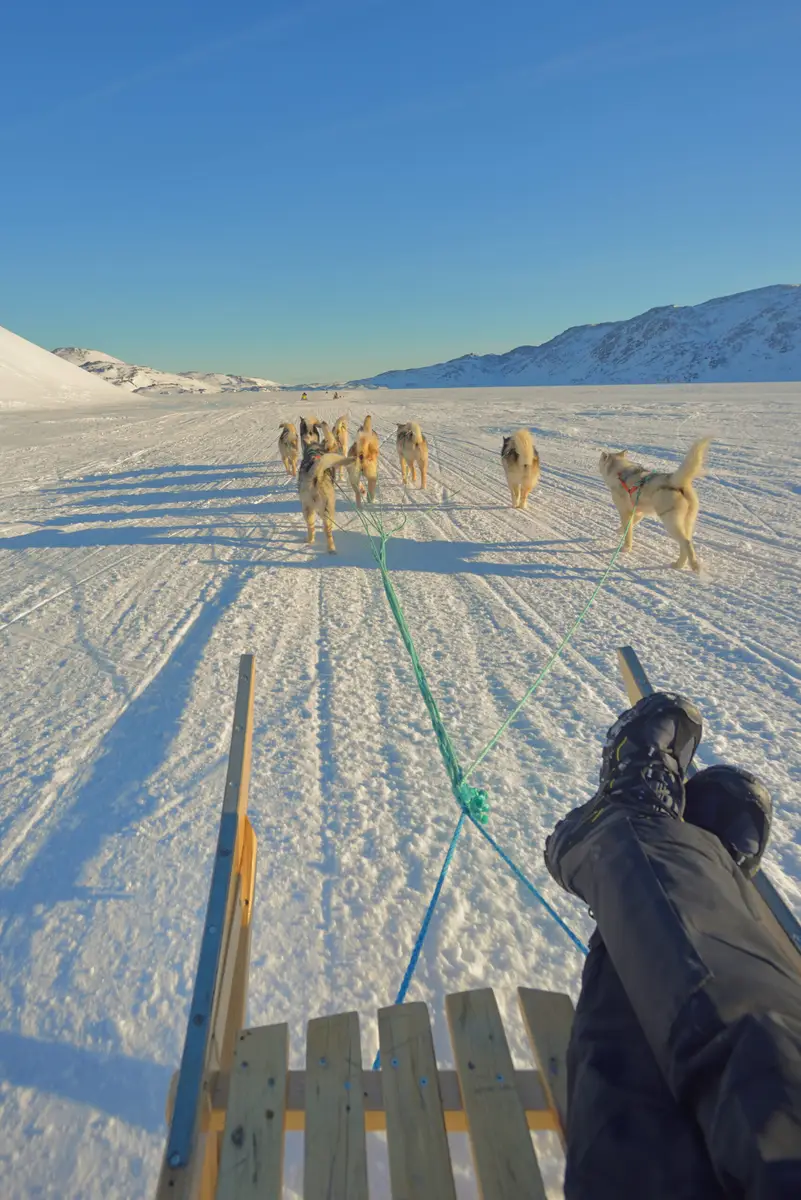 Dog sledding adventure in Greenland, showing huskies pulling a sled across a snowy landscape with distant mountains under a clear blue sky.