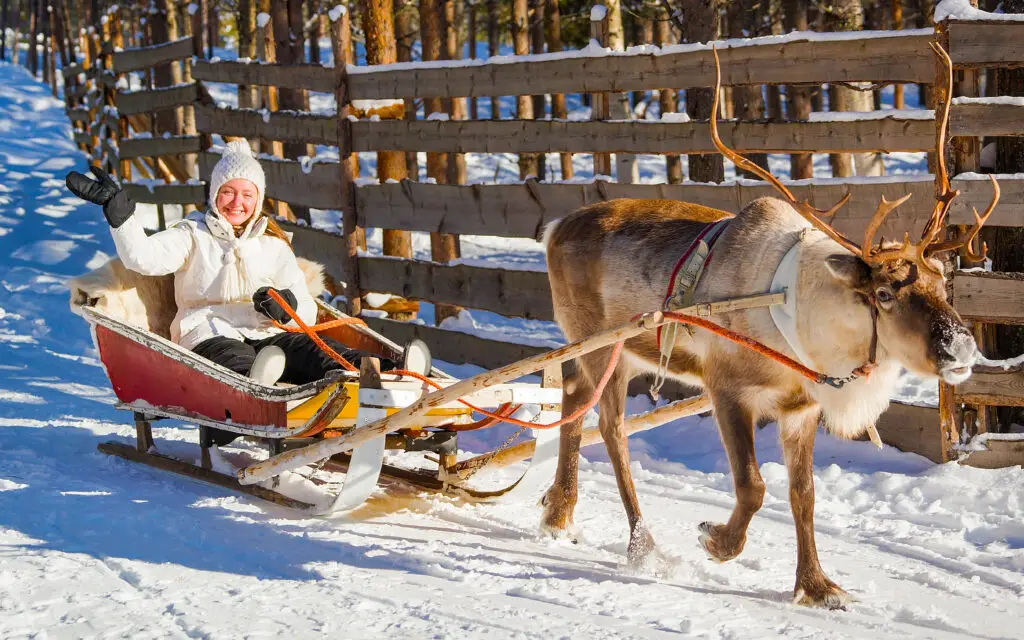 Tourist enjoying a reindeer sledge ride in snowy Rovaniemi, Finland, showcasing winter travel and unique Arctic experiences