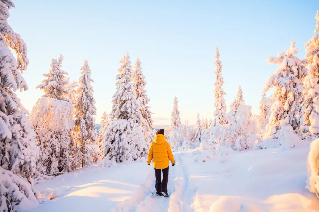 Young woman in a yellow jacket exploring the snowy winter forest landscape in Finland, showcasing a serene and picturesque Nordic travel destination.