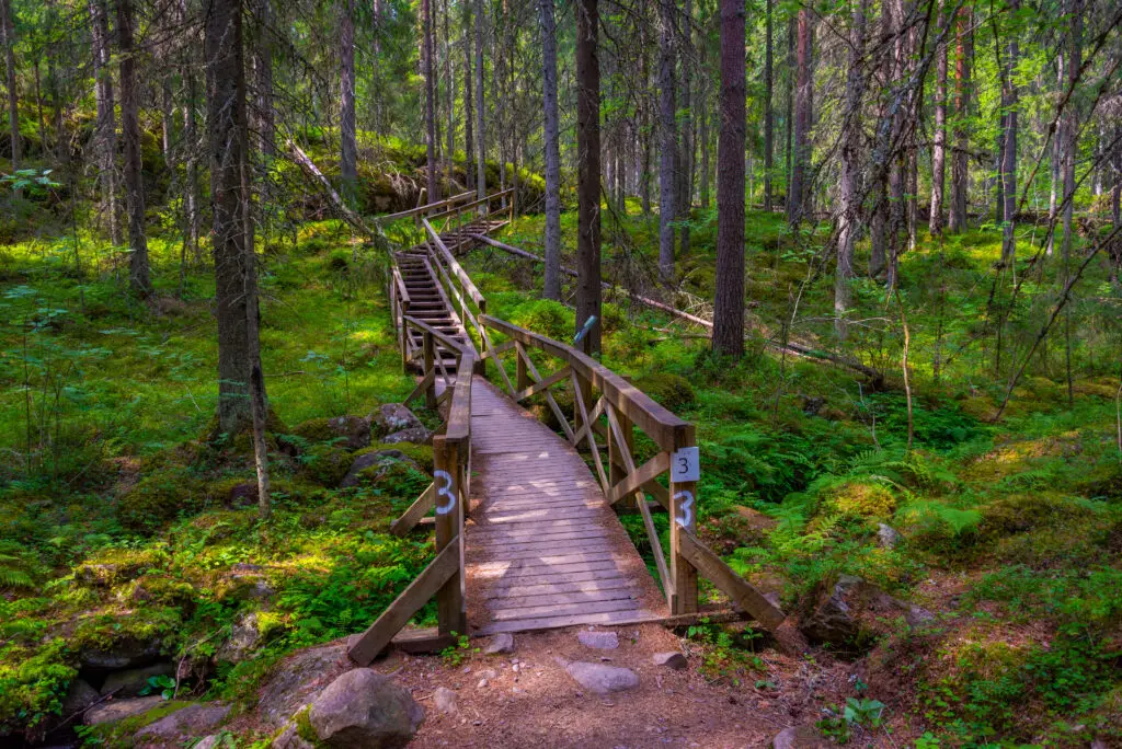 Wooden walkway winding through the lush, vibrant forest of Helvetinjärvi National Park in Finland, showcasing the natural beauty ideal for eco-tourism.