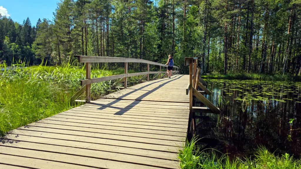 Summer view of the wooden bridge at Haukkalampi pond in Nuuksio National Park, Espoo, Finland, featuring lush greenery and a visitor enjoying the natural scenery.